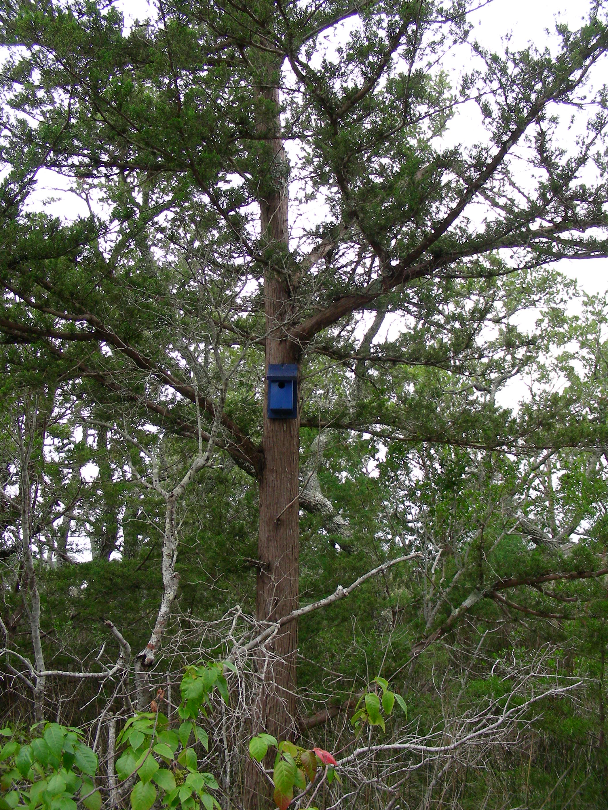 ./2014/Bear Island RSS/VDSCN9315.JPG